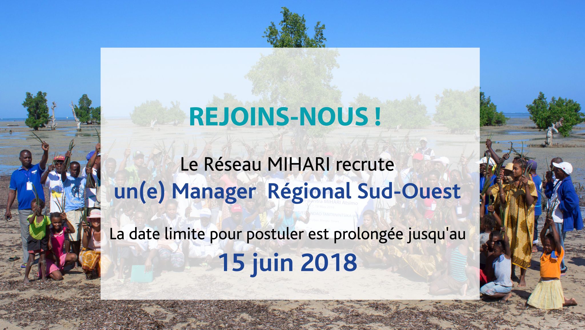 Read more about the article MIHARI recrute un(e) Manager  Régional Sud-Ouest