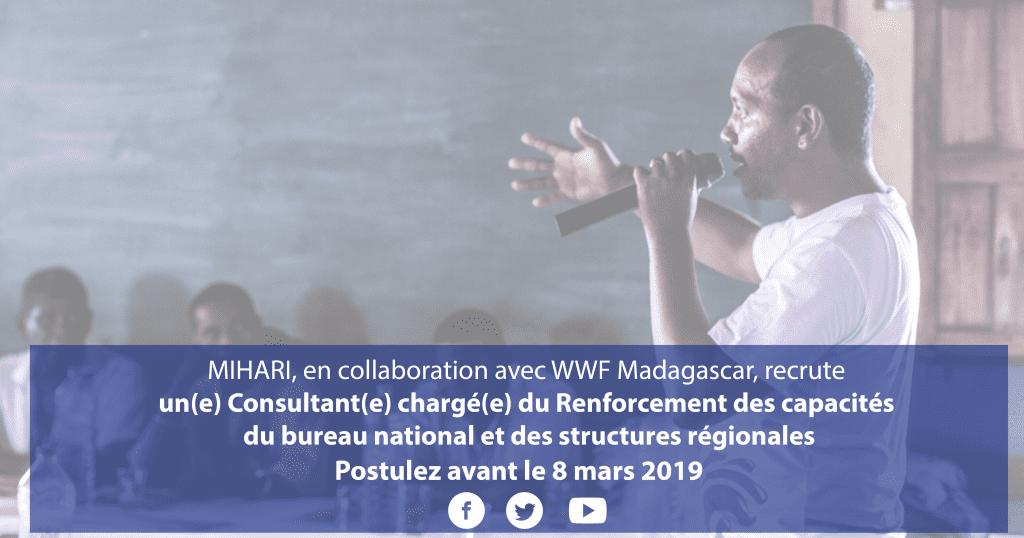 Read more about the article MIHARI recherche un Consultant chargé du Renforcement des capacités de son bureau national et de ses structures régionales