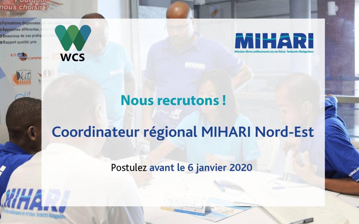 Read more about the article Recrutement : un Coordinateur régional du réseau MIHARI pour la région Nord-Est