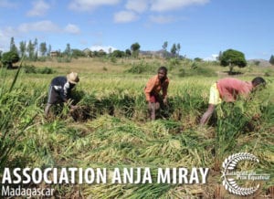 Anja Miray a réussi à montrer l'exemple en matière de conservation de la biodiversité et de promotion de l’écotourisme par les communautés de Madagascar en remportant l'Equateur Prize 2012.