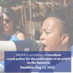 MIHARI is recruiting a Consultant “Lead author for the publication of an article on the Network”