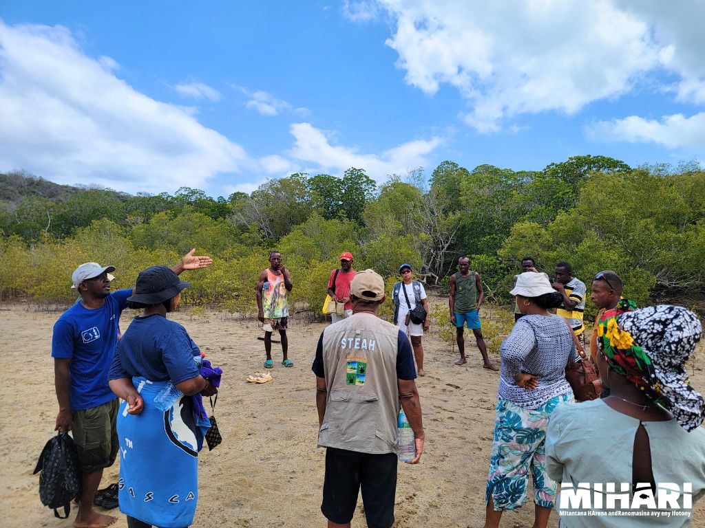 La visite d'échanges entre communautés LMMA s’est prolongée sur des sites de restauration de mangroves.