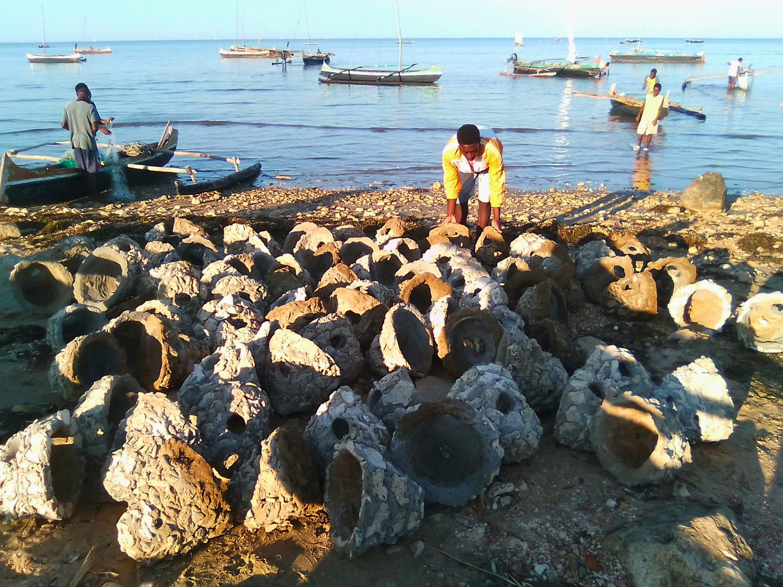You are currently viewing Sarodrano : 200 habitats artificiels pour redonner vie aux poulpes