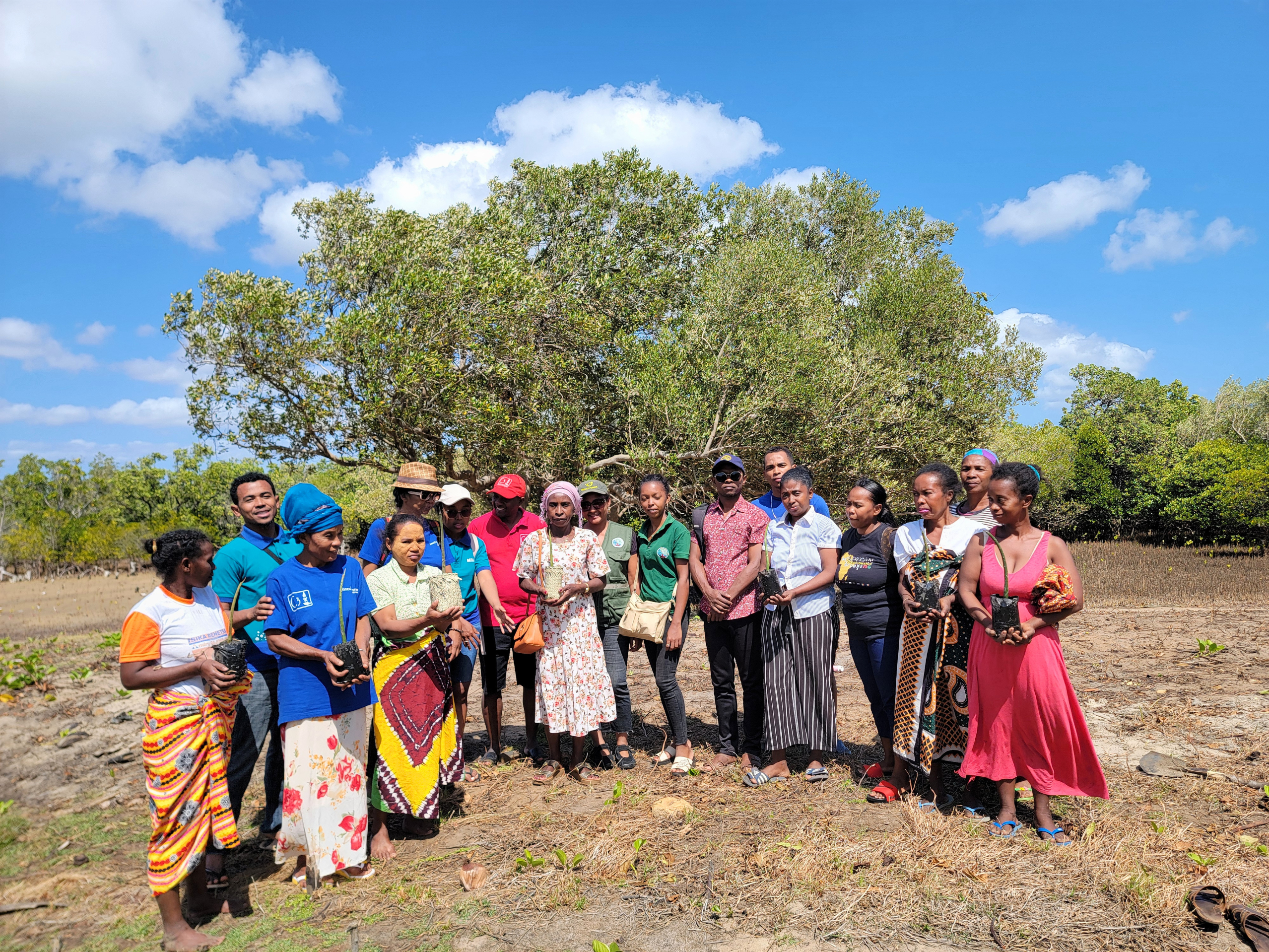 You are currently viewing Ankorikahely : les femmes de l’Association FVM restaurent les mangroves et renforcent leurs moyens de subsistance